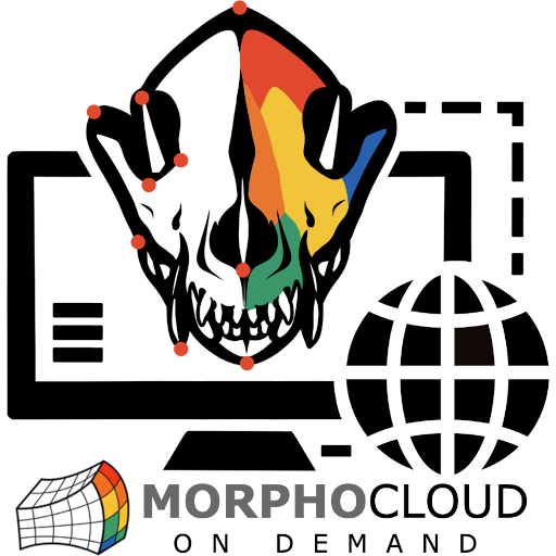 MorphoCloud